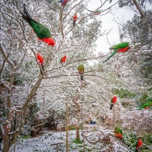 Meet your Posher, Barbara